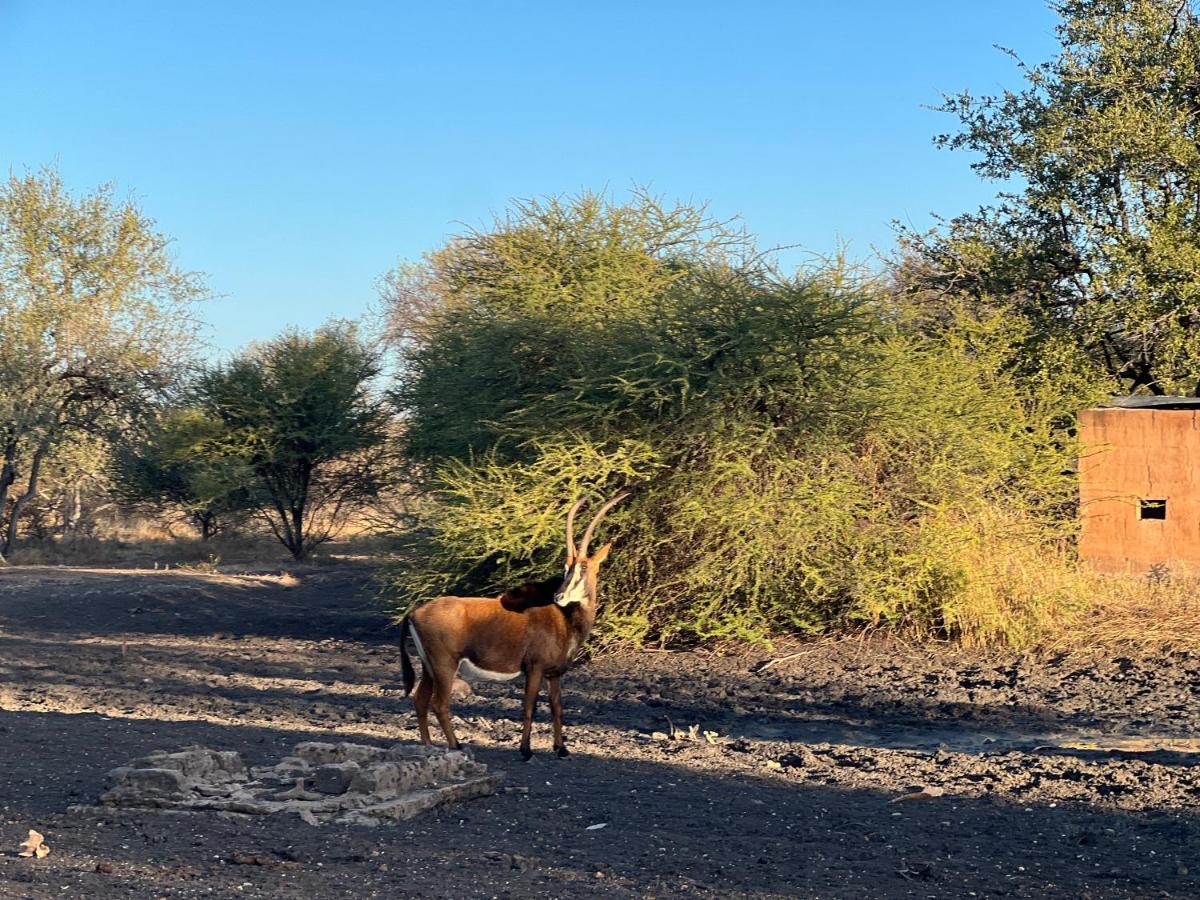 Simba Safaris African Pride Exotic Lodge Lephalale Exterior foto