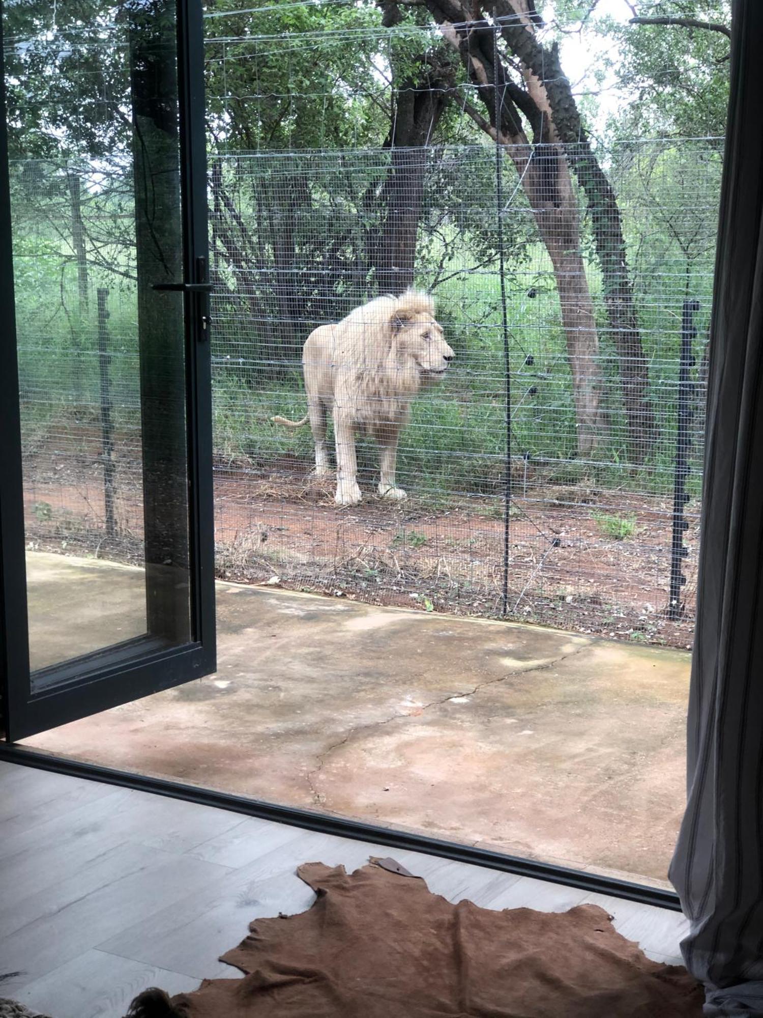 Simba Safaris African Pride Exotic Lodge Lephalale Exterior foto